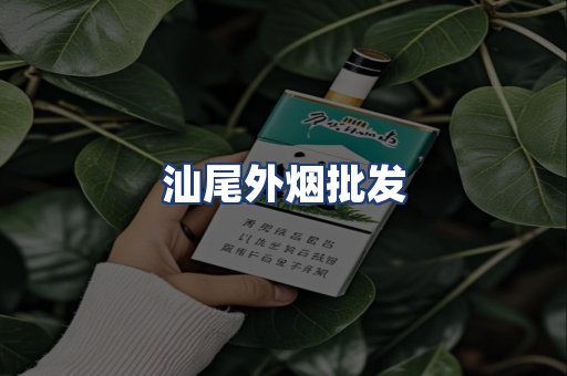 汕尾外烟批发